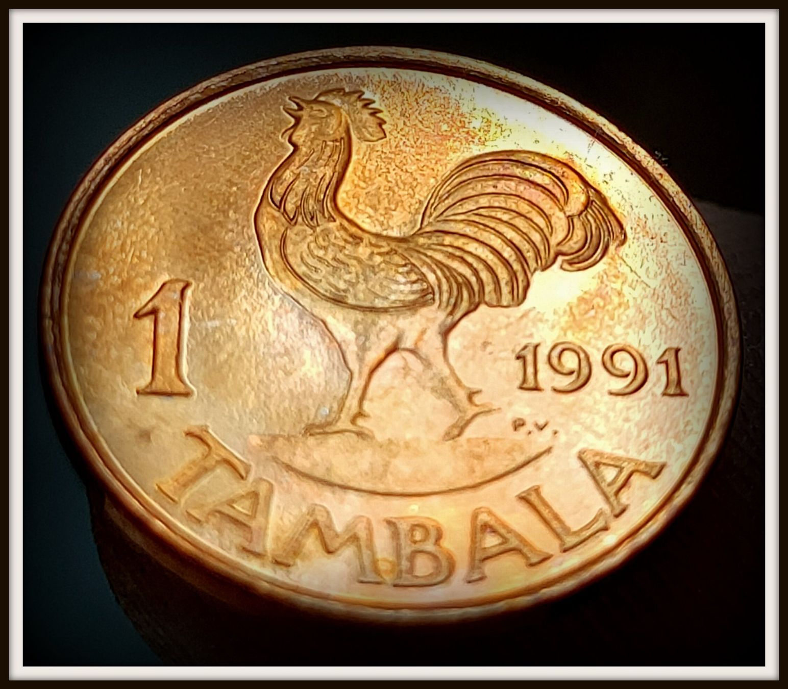 Tutti le monete: MALAWI 1 TAMBALA 1991 UNZ. – Nuovo (secondo la descrizione) da winterthur venduto da CoinPassion