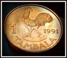 MALAWI 1 TAMBALA 1991 UNZ.