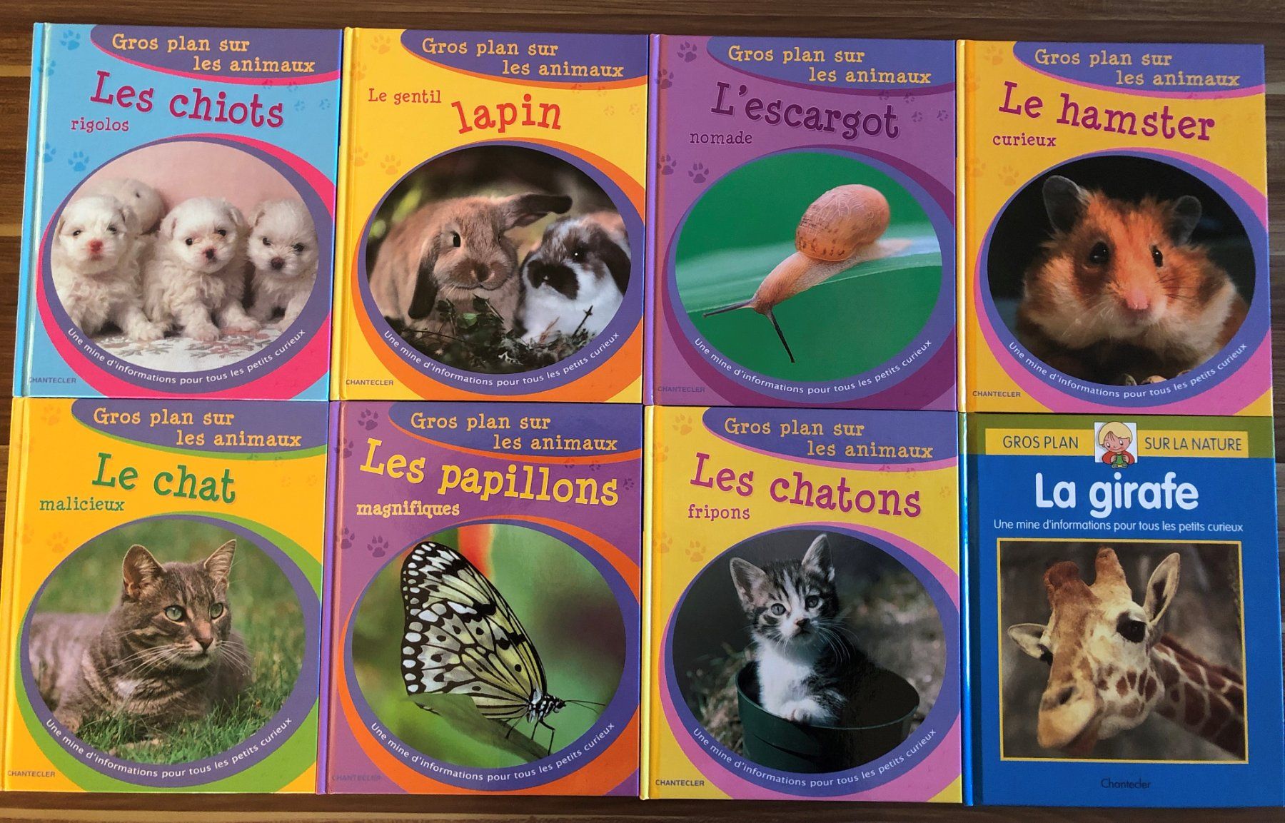 Libri: 8 livres Gros plan sur les animaux – Nuovo (secondo la descrizione) da Fribourg venduto da Alexia90