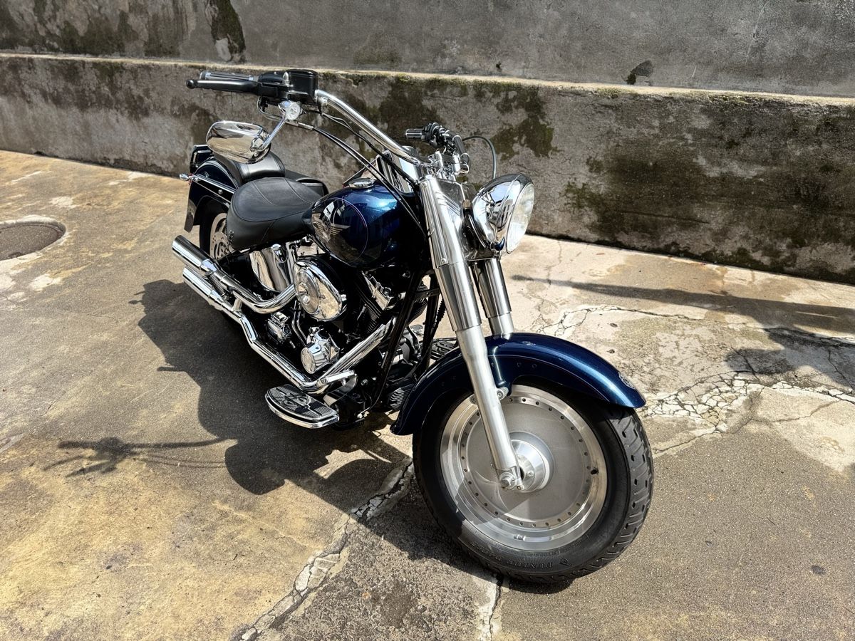 Harley-Davidson Chopper: Harley-Davidson Foftail Fat Boy Slim – Usato da Minusio venduto da Eccarrion 1