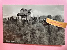 Schloss Wildegg