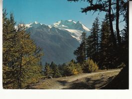 Moosalp 1982