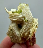 Tourmalina! Crystal! Direkt aus der Erde von Afghanistan! 