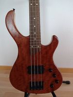 Aktivbass mit Piezo: Esh Various IV