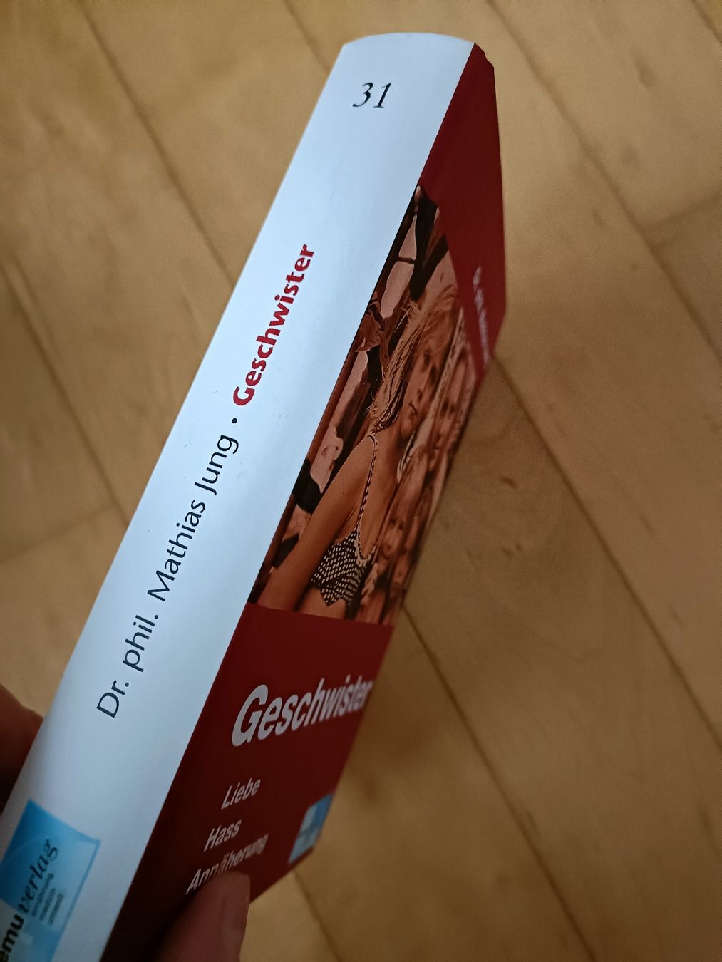 Libri: Geschwister – Nuovo (secondo la descrizione) da Gossau SG venduto da scania1509 2