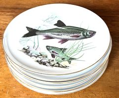 CP Colditz Made in Germany Porz. 6 Desserteller Fischmotiv
