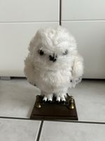 Hedwig l’enchanteur