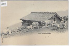 Chalet dans les Alpes - Kühe vaches