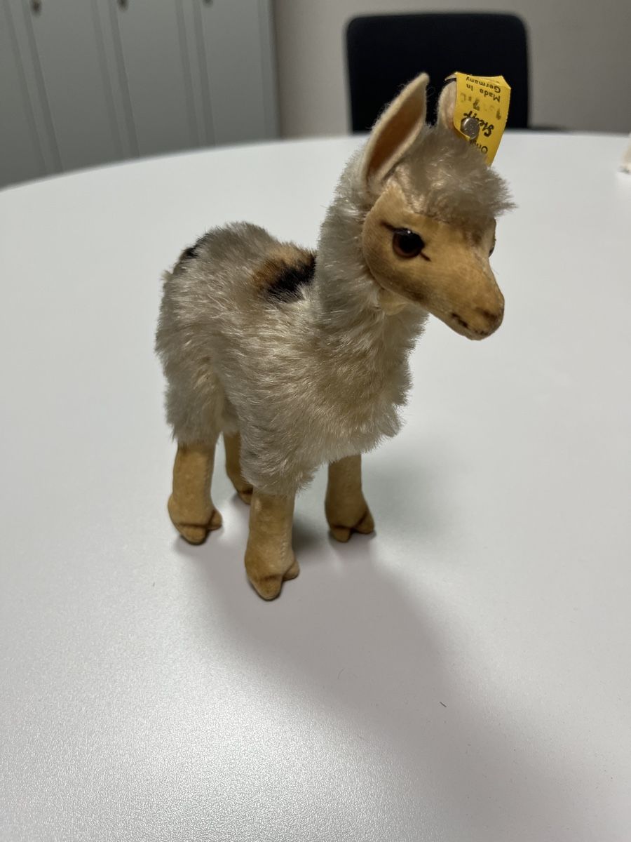 Steiff Spielzeuge: Steiff Alpaka / Lama – Gebraucht aus Dietikon von cre8different 1