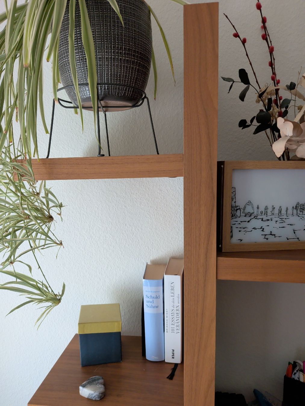 Scaffali: Bücherregal Holz freistehend – Usato da Zürich venduto da gaf13 1