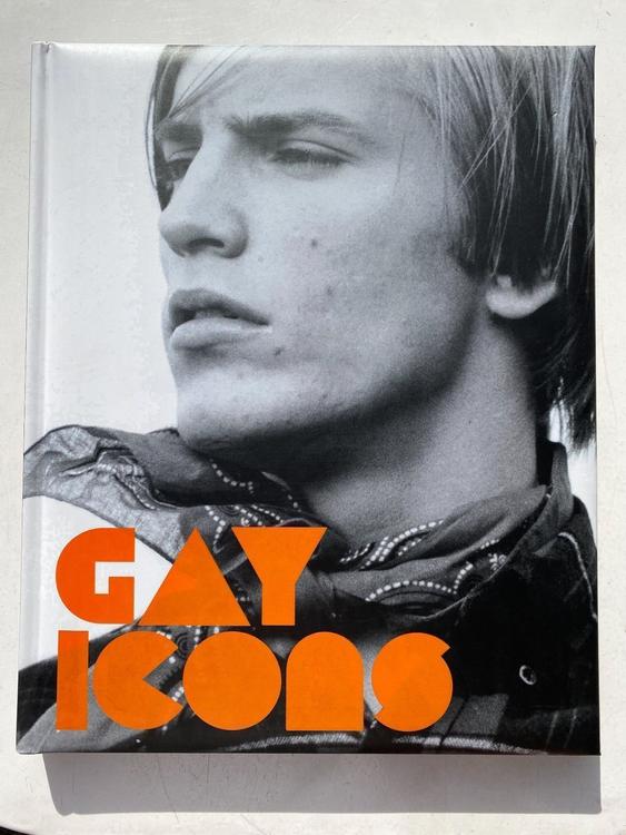 Gay Icons National Portrait Gallery Kaufen Auf Ricardo