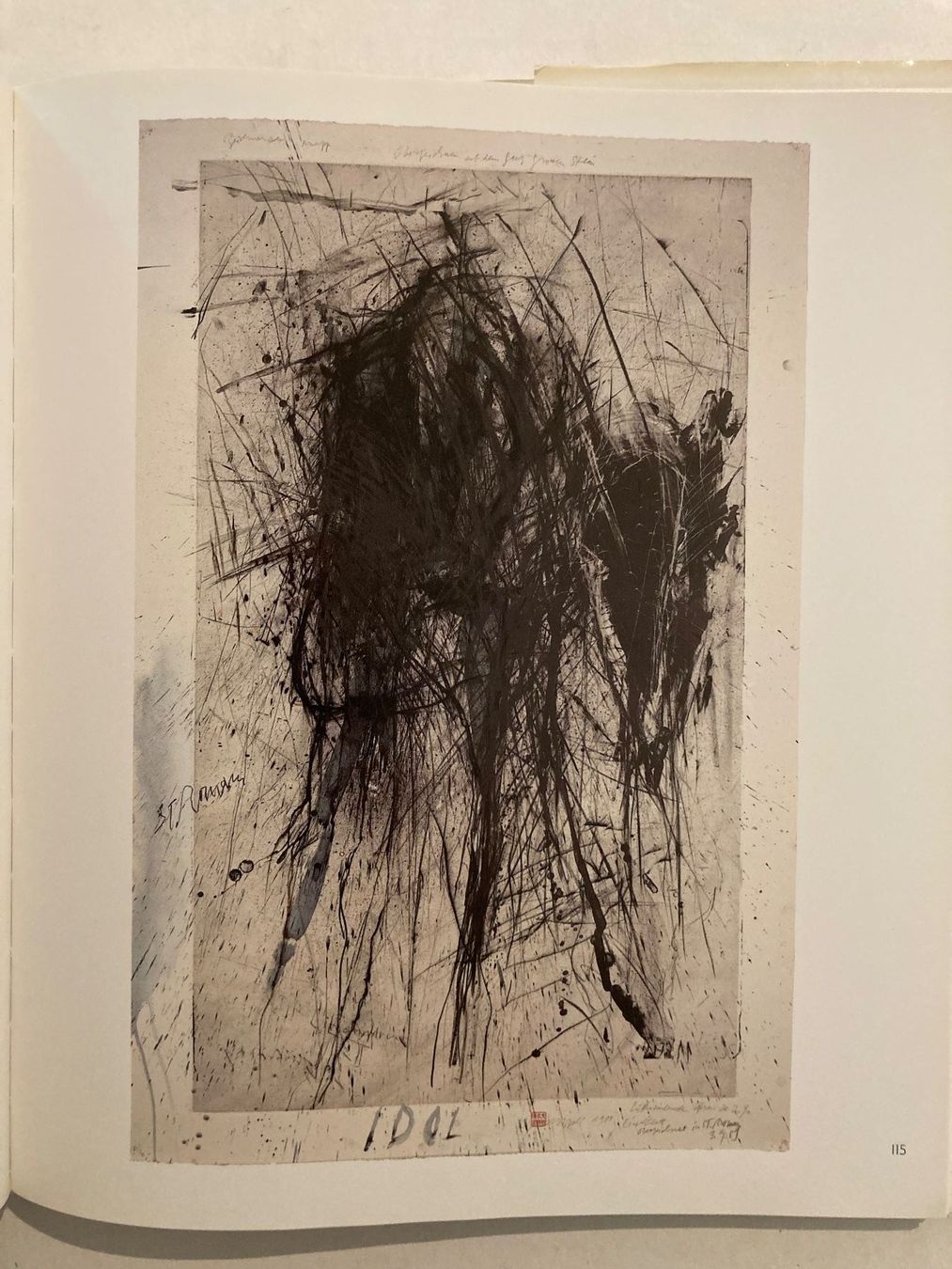 Libri: BUCH: Rolf Iseli – Usato da Rain venduto da Pic-Ass 2