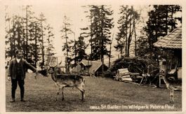 St. Gallen. Im Wildpark Peter & Paul