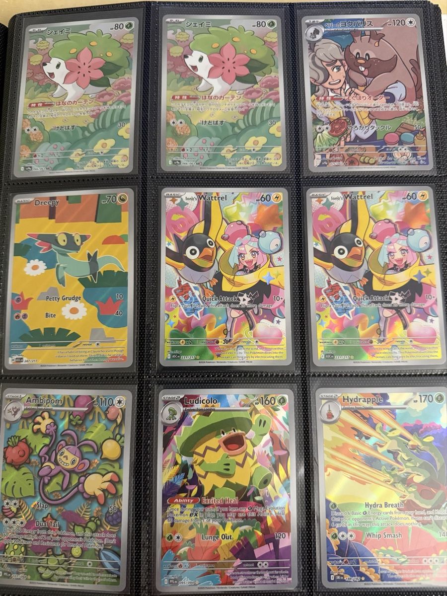 Pokémon Cartes à collectionner: Pokemon Karten Sammlung English & JPN – D'occasion à St.Moritz par Bandi10 3