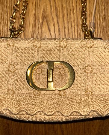 Dior Small Caro Bag with special Embroidery
