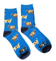 Socken Kühe/Kuh/Cows/Bauernhof/Farm