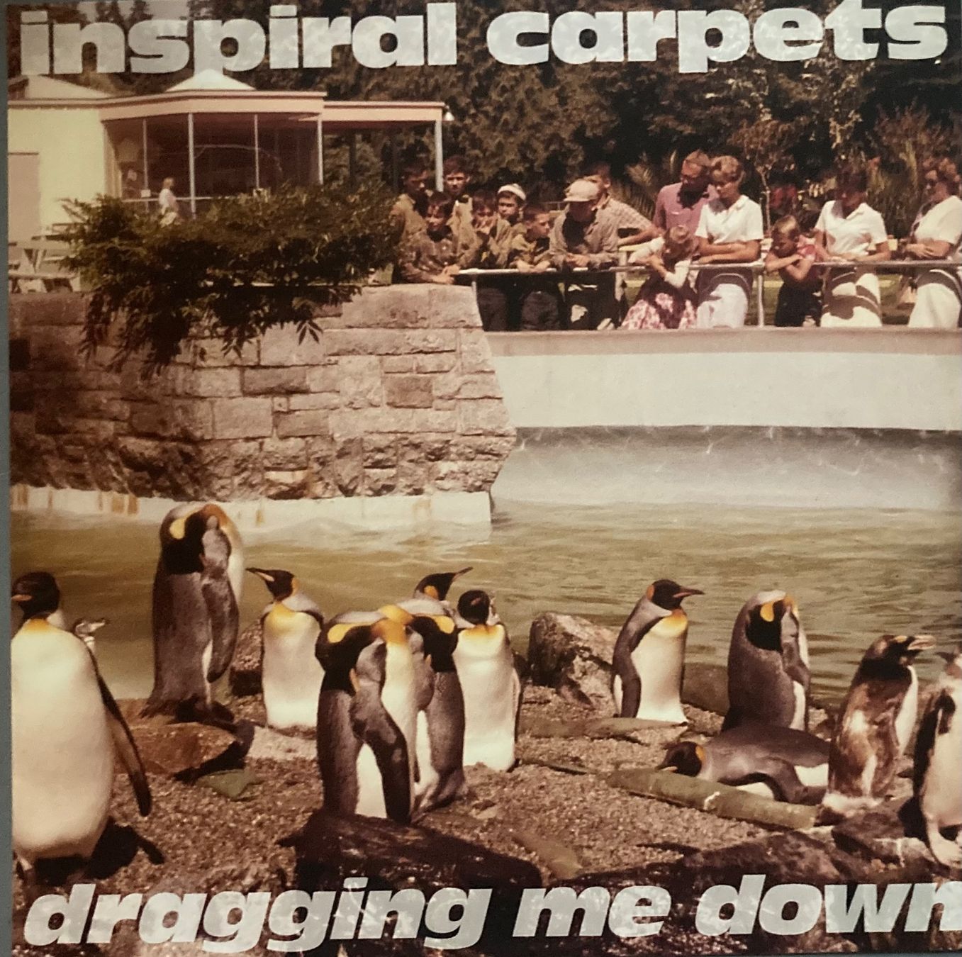 Dischi in vinile: INSPIRAL CARPETS - DRAGGING ME DOWN – Usato da Poliez-Pittet venduto da Newtown-Records 2