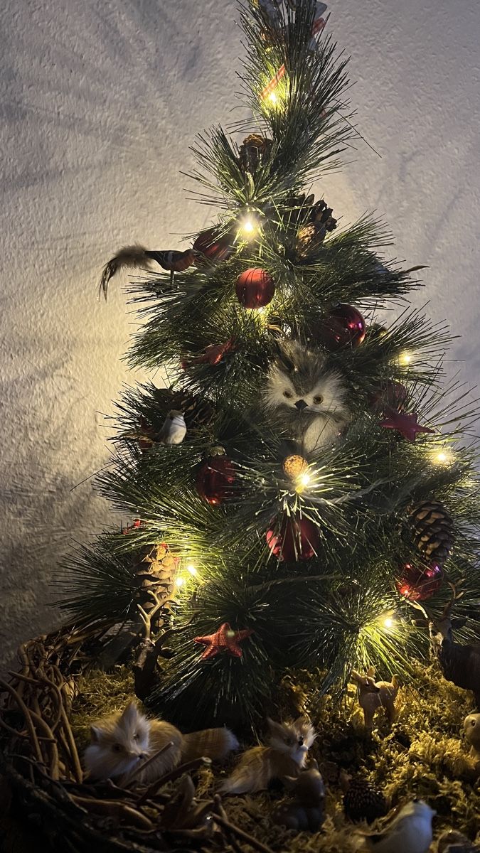 Toutes les décorations: Waldweihnachtskorb – D'occasion à Adliswil par Duenenwanderer 4