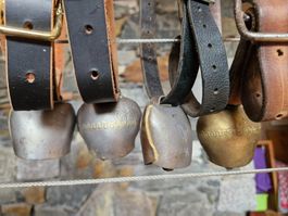 Ziegen-Schaftreicheli