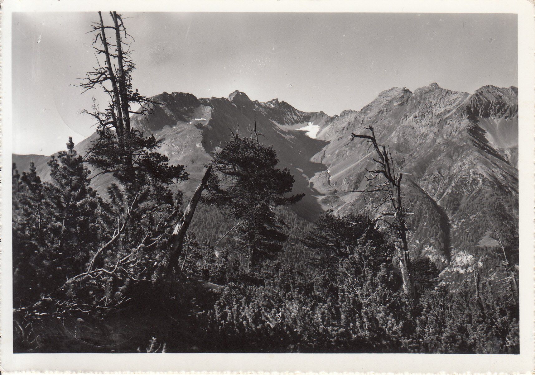 Ansichtskarten: La Schera Nat. Park 1961 – Gebraucht aus Bürglen TG von StampGraf