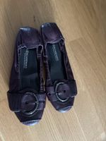 Schuh Kennel + Schmenger