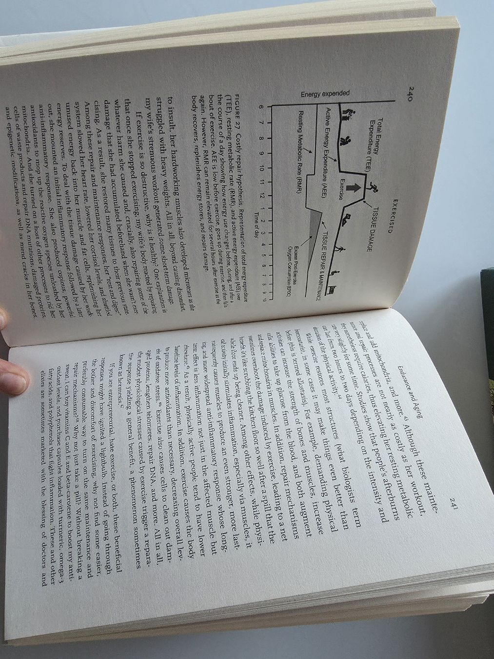 Libri: Exercised. Book in English. Author: Daniel Lieberman – Usato da Zermatt venduto da MrsMrRabbit 7