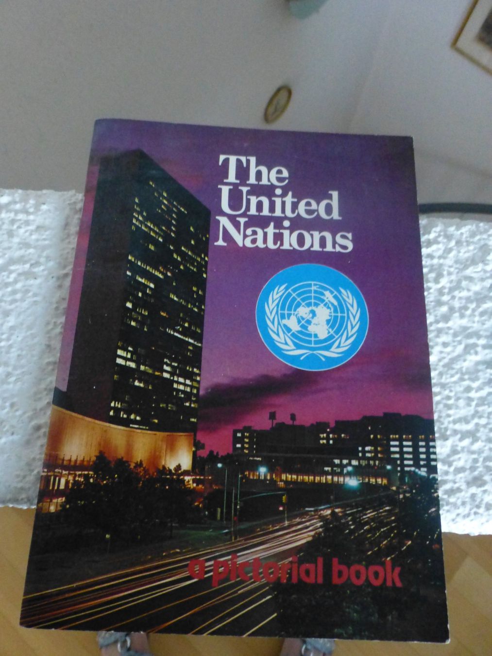 Libri: Your United Nations Guidebook – Usato da Hergiswil NW venduto da annettelia 3