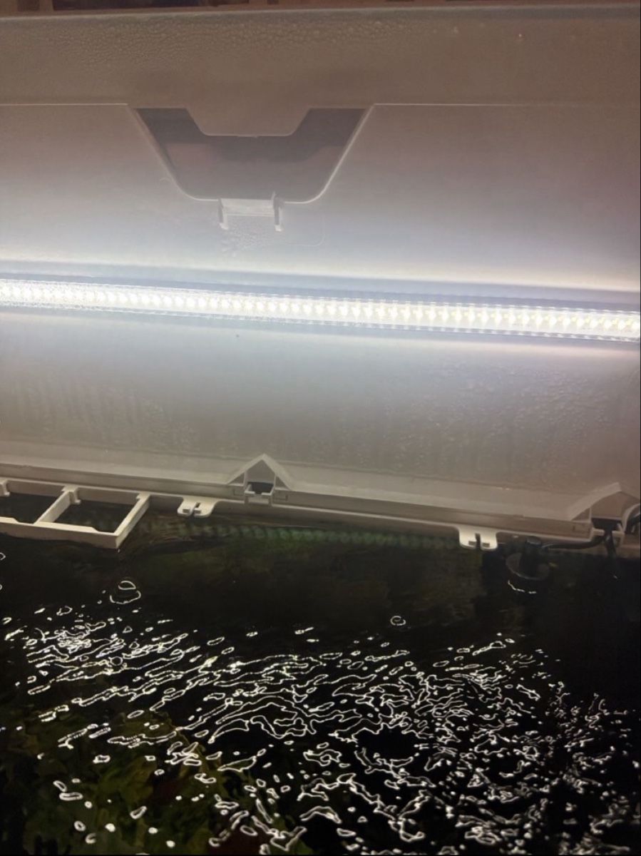 Aquarium: Aquarium 60l mit möbel – Gebraucht aus Allschwil von B.Bivona 3
