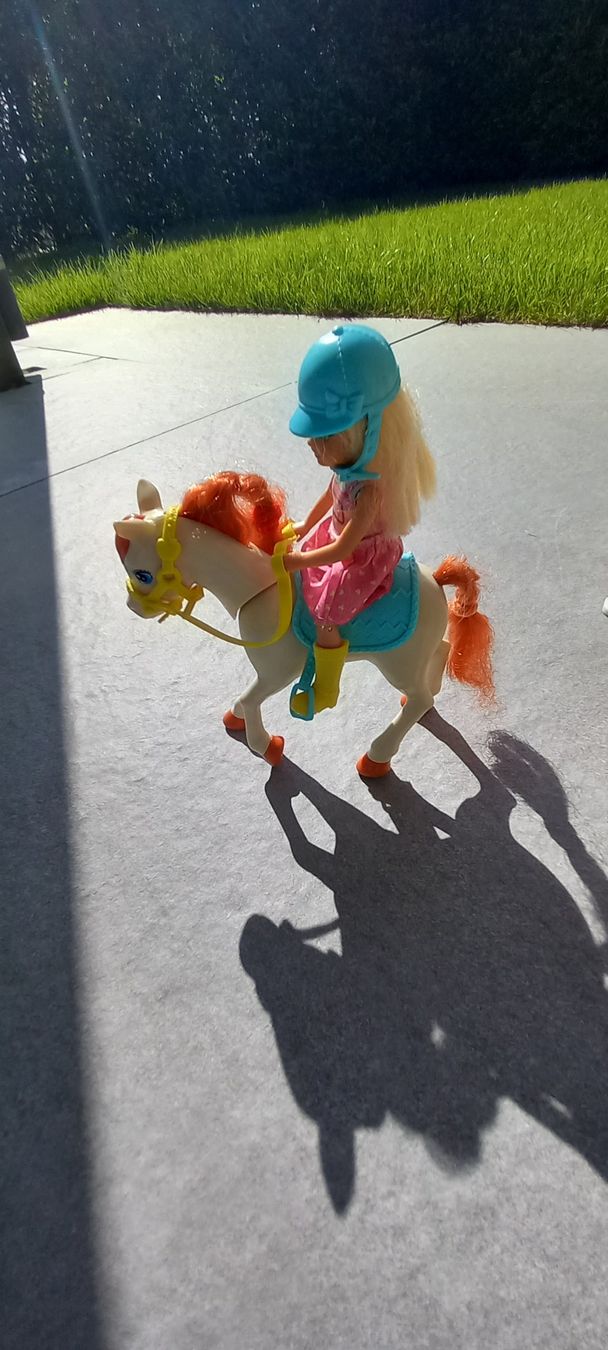 Giocattoli: Barbie Pferde sett – Usato da Bünzen venduto da kalink 2