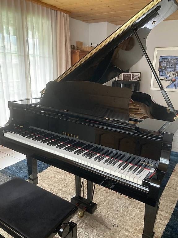 Musikinstrumente: Flügel Yamaha C3 Conservatory – Gebraucht aus Siebnen von SienaJoana