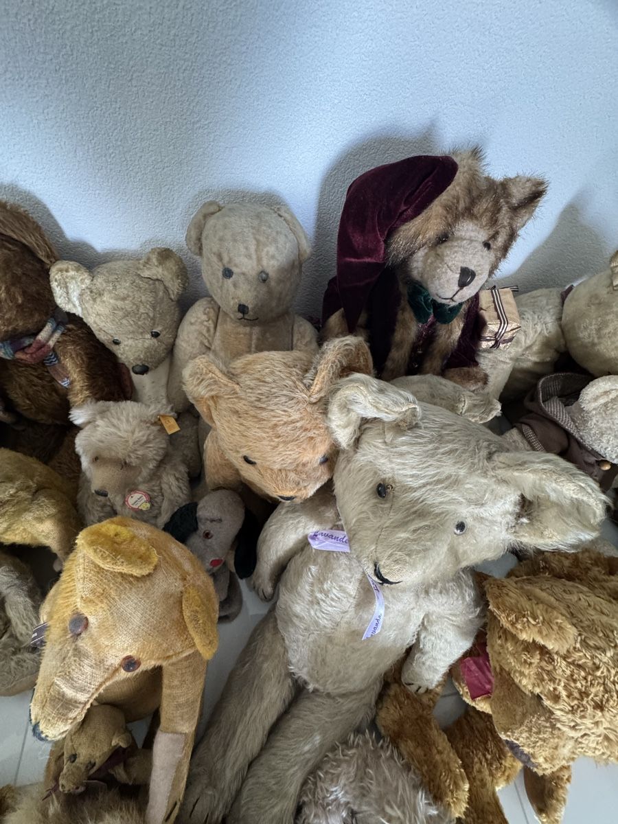 Steiff Giocattoli: Collection de ours en peluche vintage – Usato da St-léonard venduto da LUXURYCOQUOZ 5