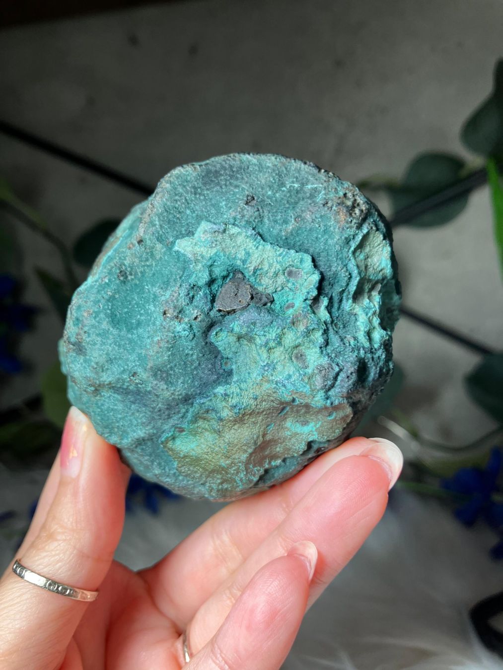 Minerali & Pietre curative: Grüner Chalcedon-Stalaktit – Nuovo (secondo la descrizione) da Neuheim venduto da m.hald 7