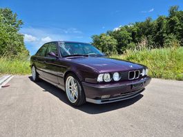 Bmw M5 3.8 Daytonaviolett