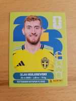 Panini WM 2026 SWE 17