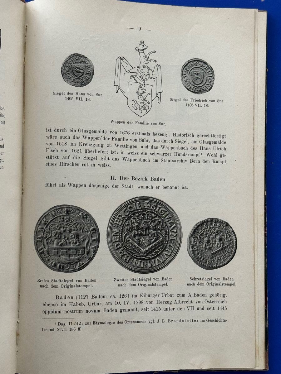 Libri: Die Gemeindewappen des Kantons Aargau. 1915 – Usato da Adliswil venduto da buch_und_kunst 2