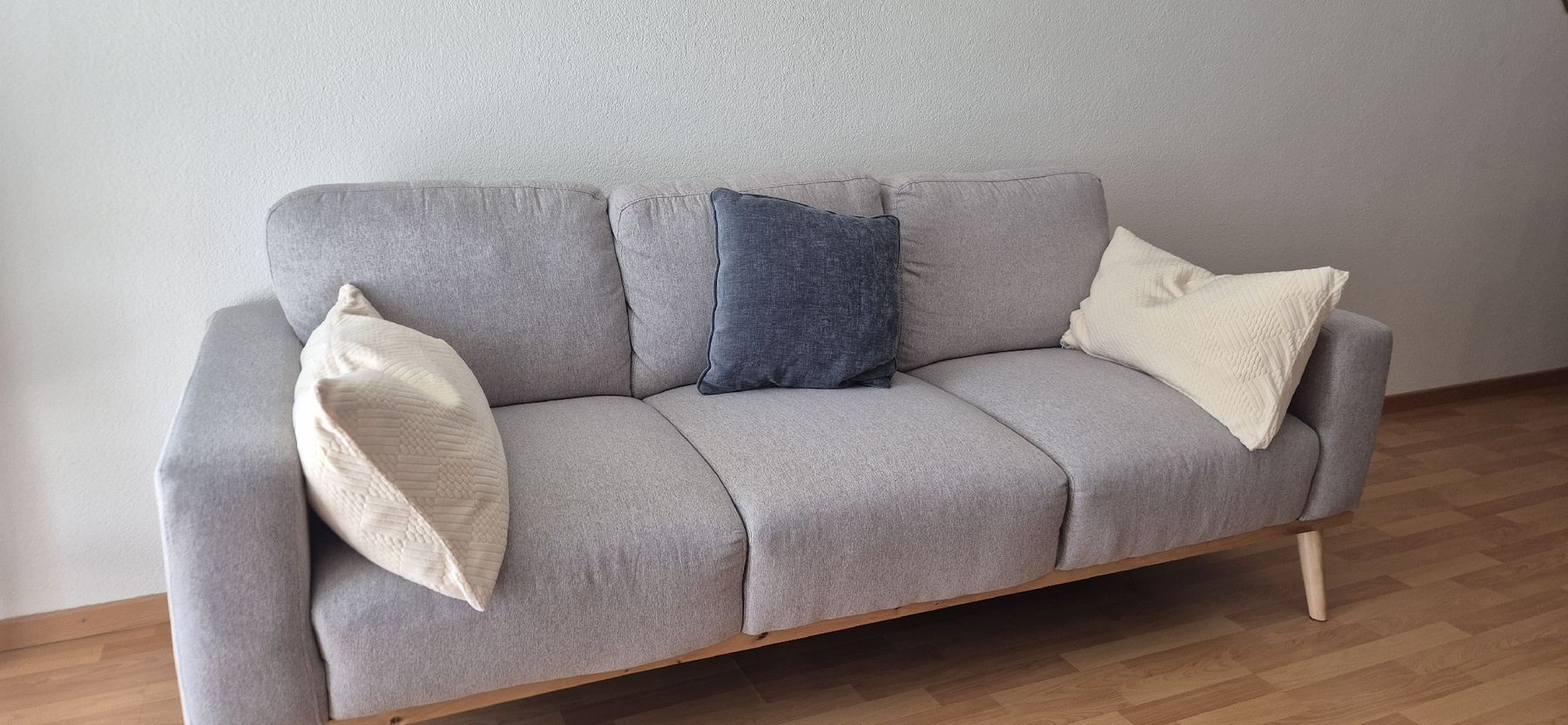 Divani: Stilvolles graues Sofa  2/3 Sitzer – Usato da Lengnau AG venduto da awa_9hdc 4