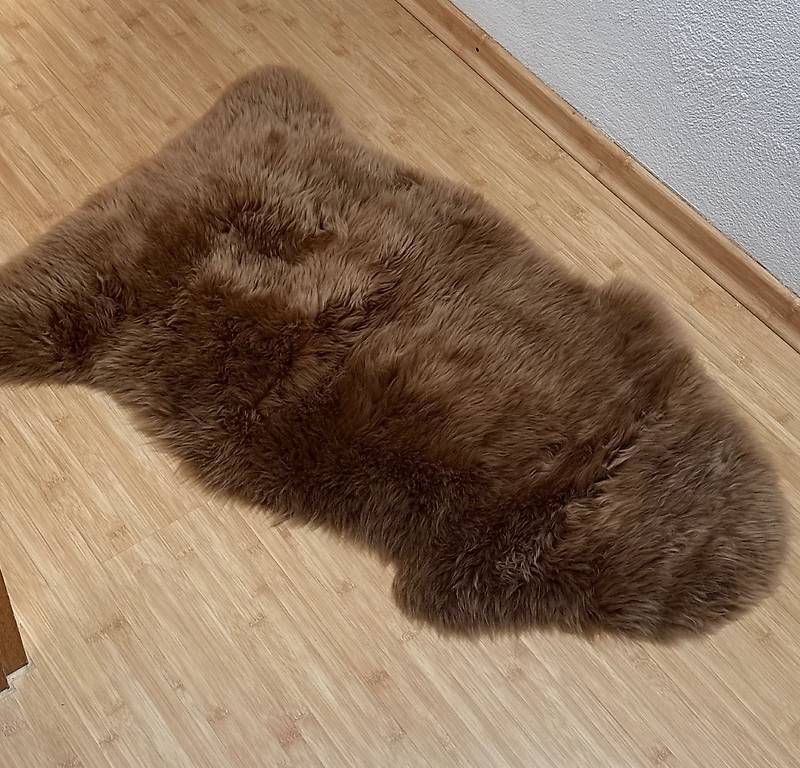 Welt der Tiere: Wollnachschaffel  Farbe Brown Brisa – Gebraucht aus Obfelden von mau_6zc2