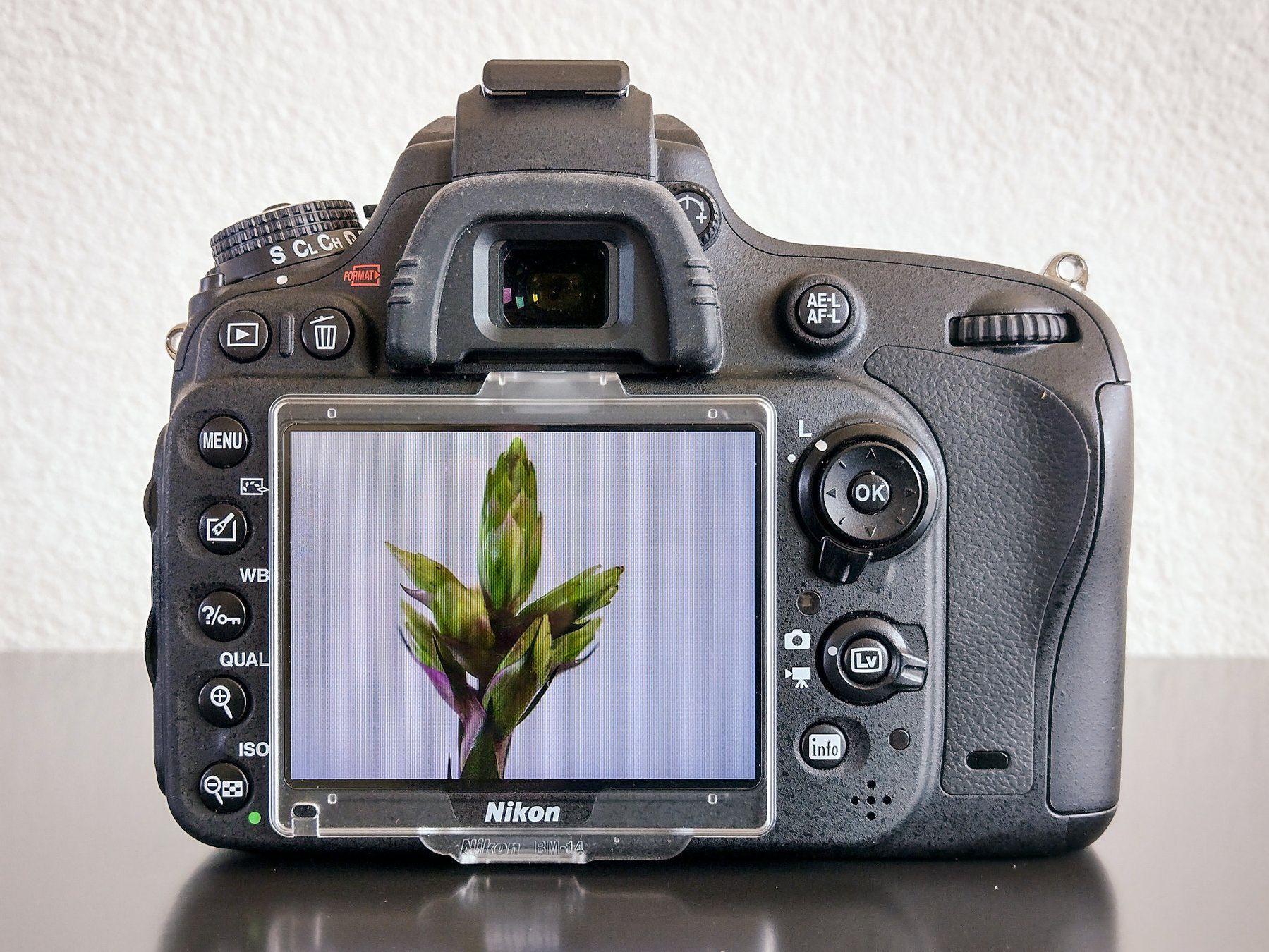 Nikon Kamera: Nikon D610 – Gebraucht aus Zürich von J2O 2