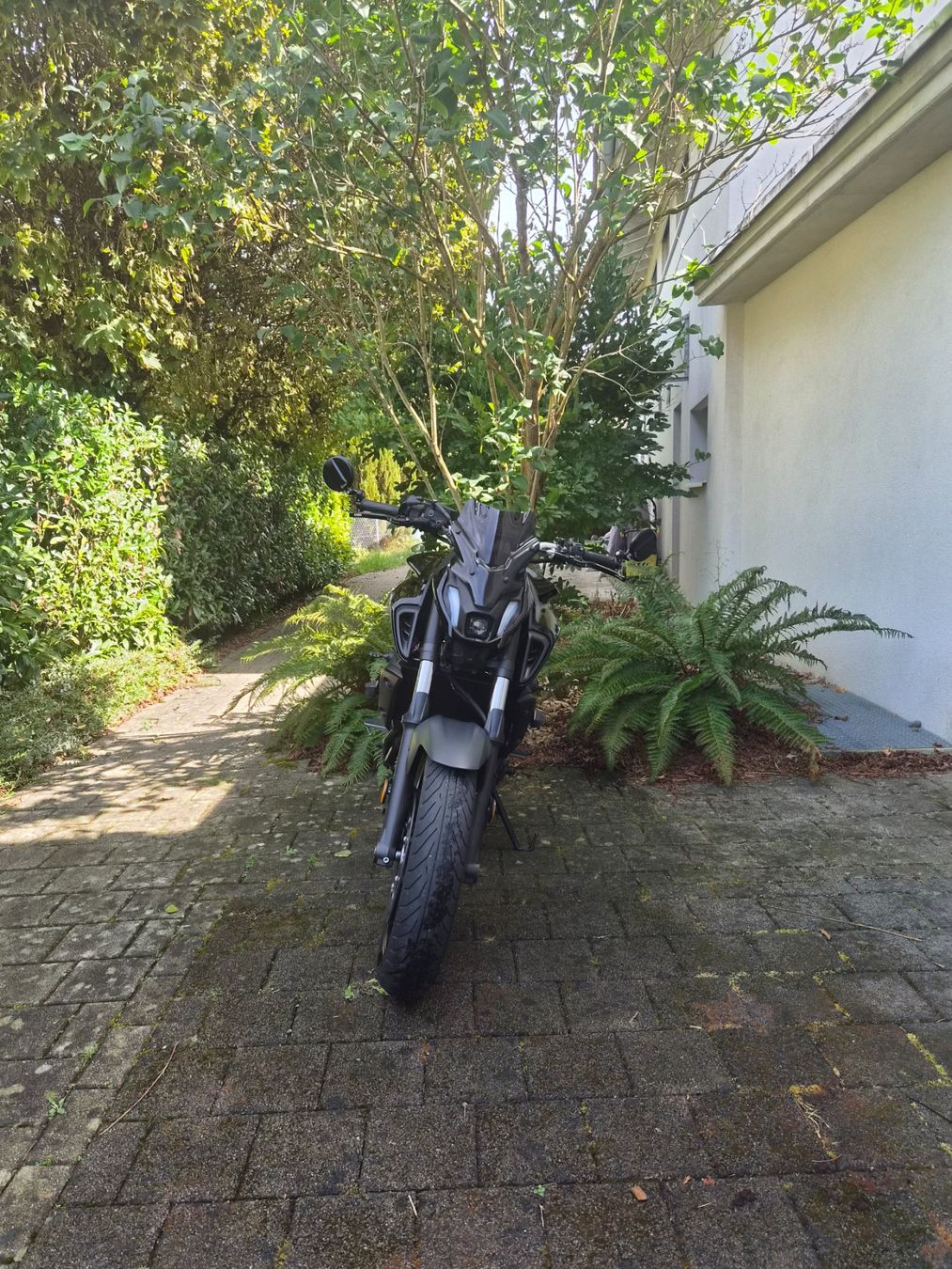 Yamaha Strada: Yamaha Mt 07 2023 – Usato da Fislisbach venduto da LEMO_Motos 2