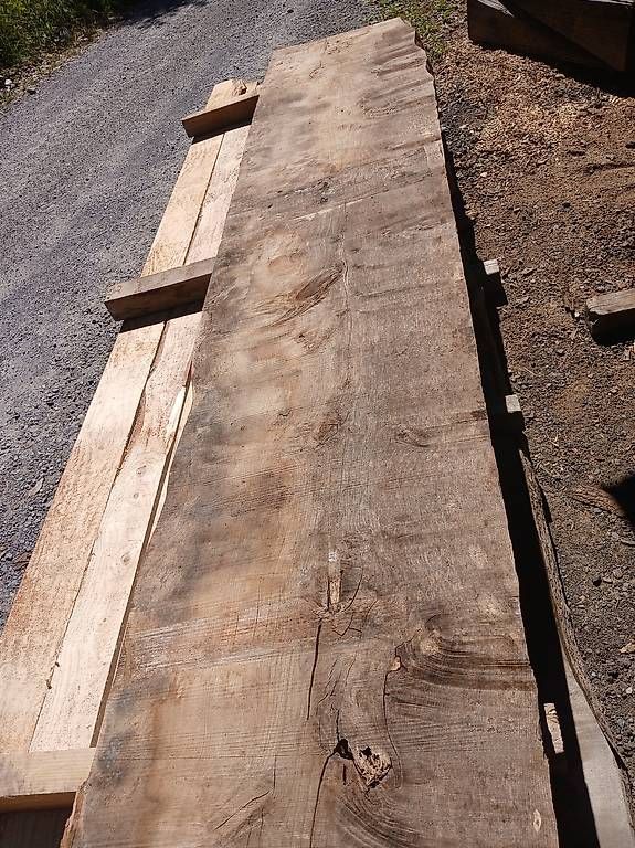 Holzartikel: Esche rustikal – Neu (gemäss Beschreibung) aus Willisau von wood1988
