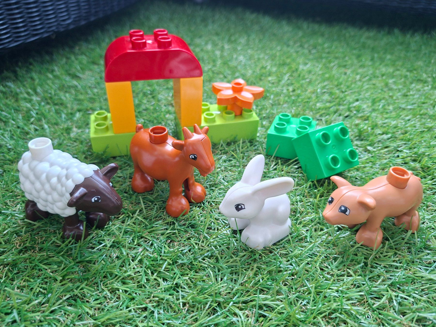Lego Giocattoli: LEGO Duplo 10522 - Bauernhof-Tiere – Usato da Balterswil venduto da Steineparadies 1