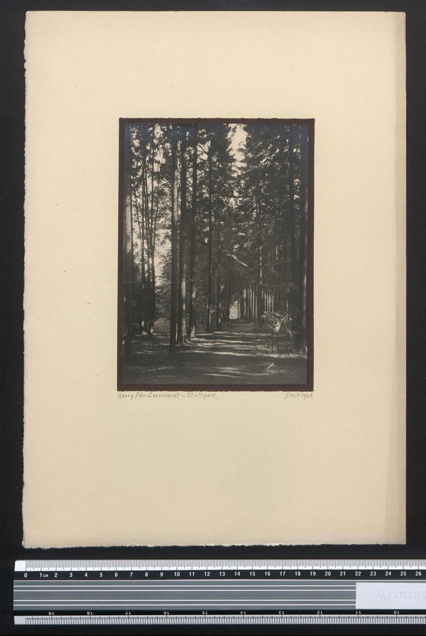 Fotografie & Manifesti: Fotografie Georg Friedrich Leonhardt, St – Usato da Berlin venduto da bartko-reher