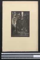 Fotografie Georg Friedrich Leonhardt, St