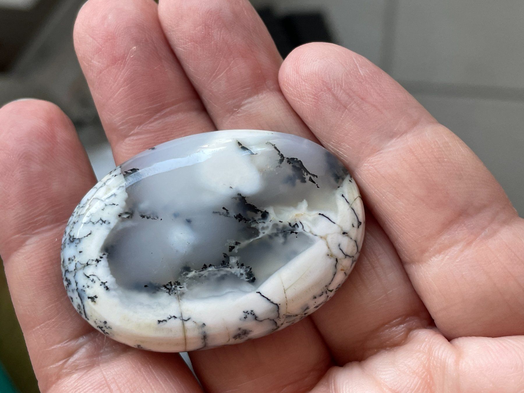 Pietre preziose: Wunderschöner Edelstein: Dendriten Opal – Nuovo (secondo la descrizione) da Muttenz venduto da einfach-schoen
