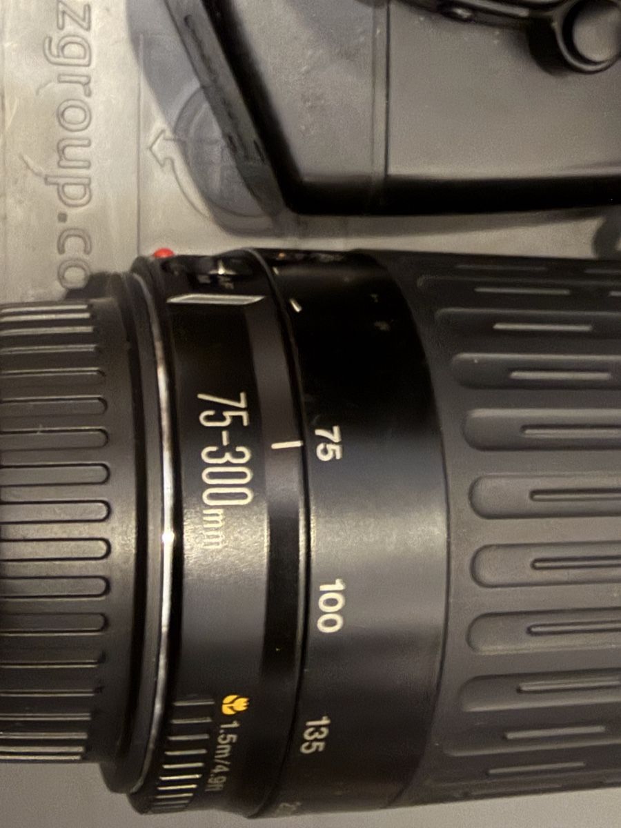 Canon Fotocamera: Canon EIS 650 mit zwei Objektiven  – Usato da zuchwil venduto da solotin74 1
