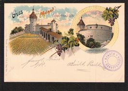 ^Litho Gruss vom Munot Schaffhausen , gel. 1904