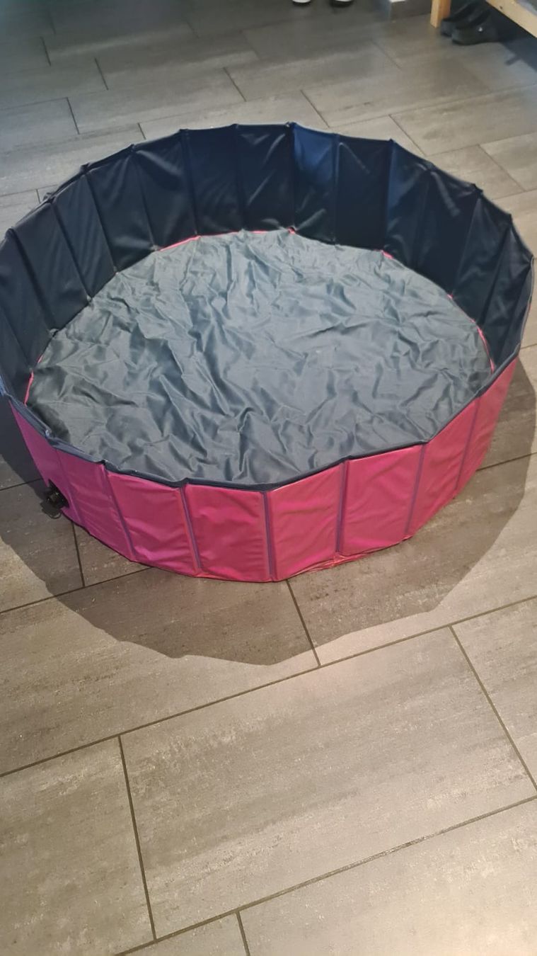 Piscine: Hundepool – Usato da Rothenburg venduto da 123odermatt