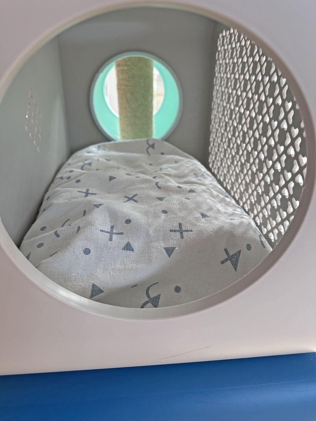 Tiragraffi: Beeztees Cat Cubes – Système modulaire pour chat (4 modules) – Usato da Martigny venduto da jereq 4