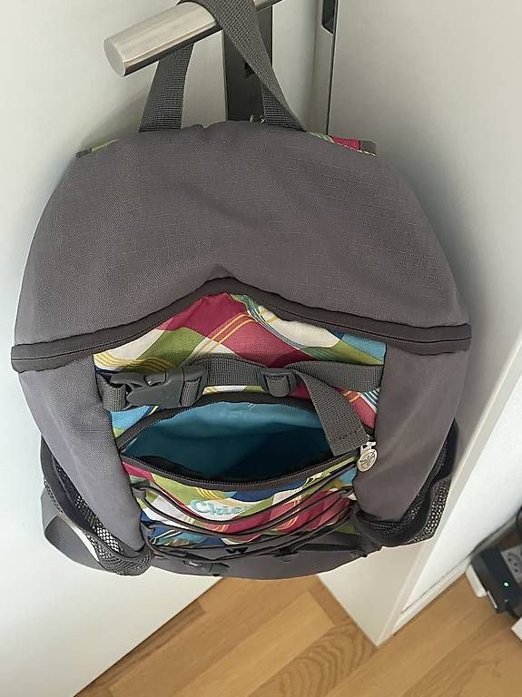 Chiemsee Zaini: Chiemsee Rucksack Medium in top Zustand – Usato da Zürich venduto da michaela_2024 3