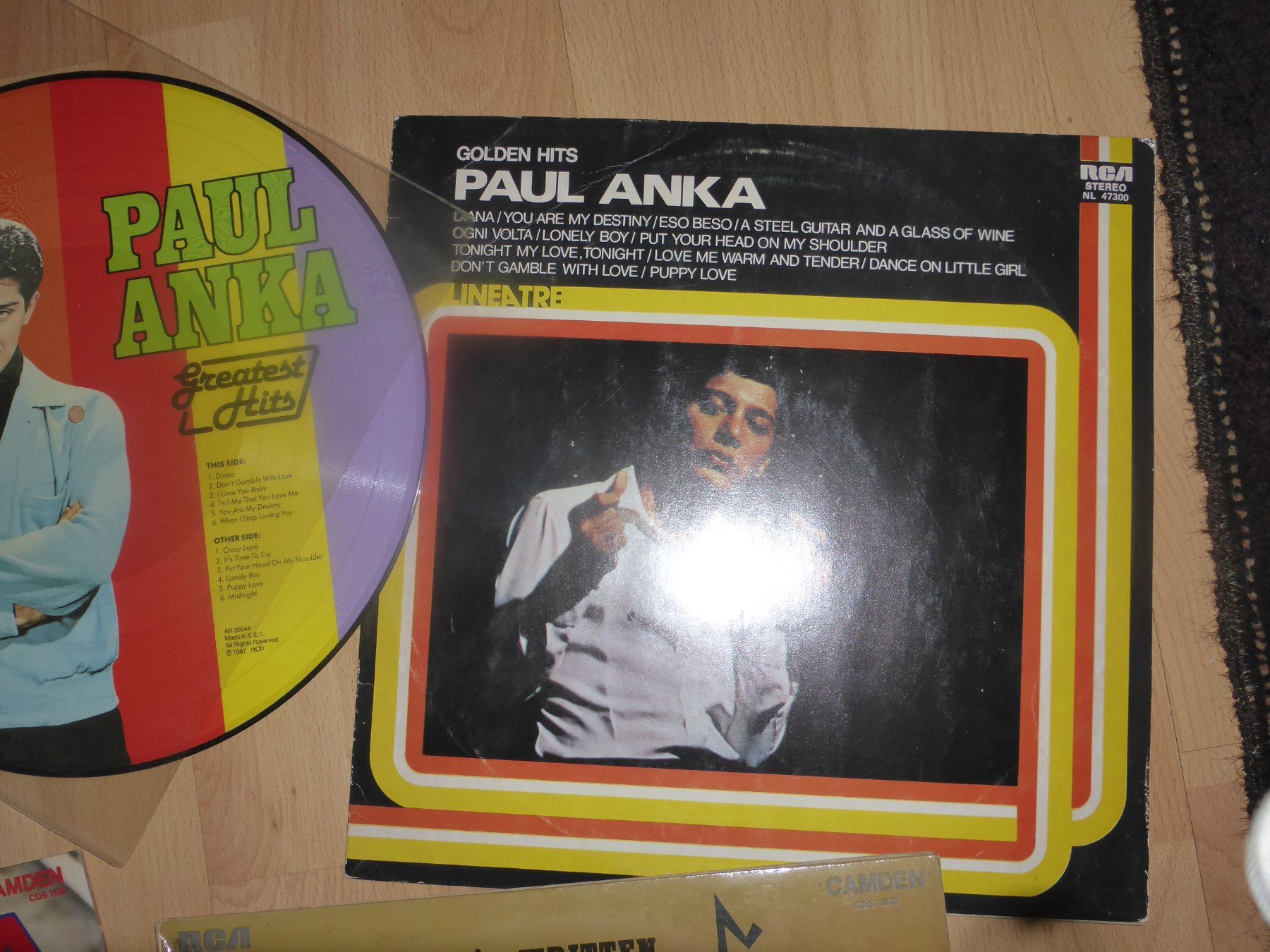 Dischi in vinile: 10 LP PAUL  ANKA 60er. – Usato da basel venduto da tama_fab 2